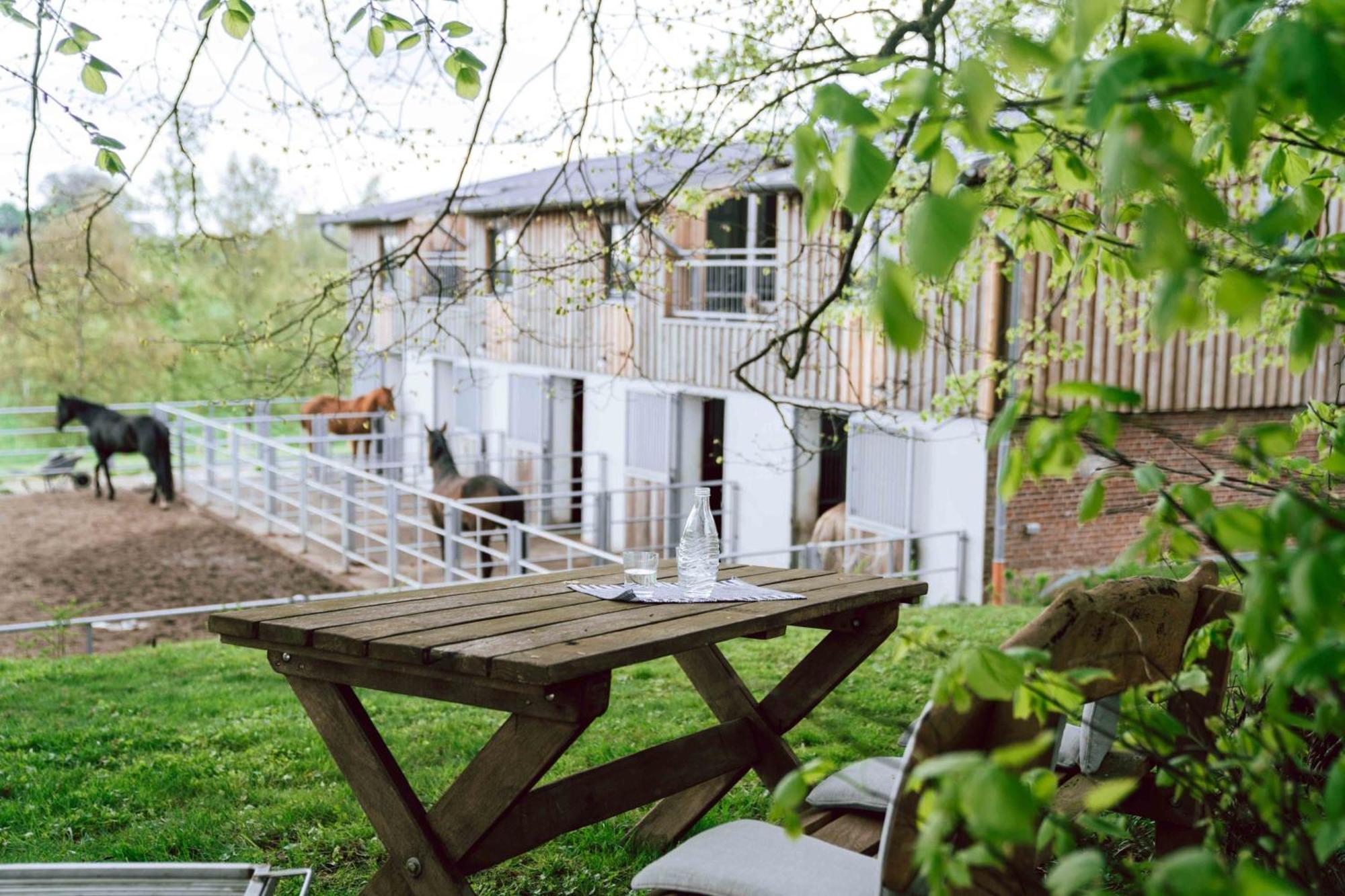 Studio Eins Oersberg Extérieur photo